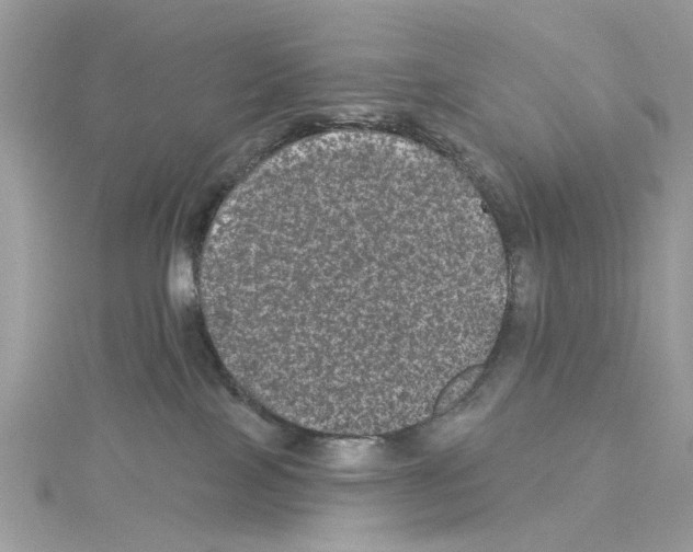 X0000114120089200911161148