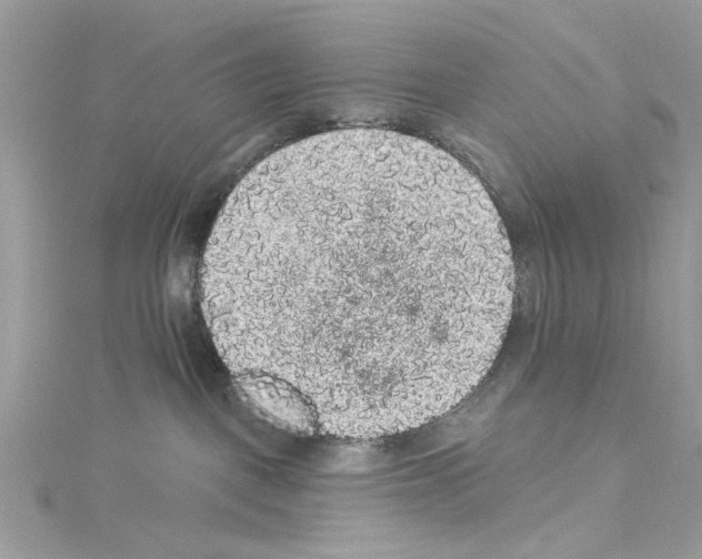 X0000114120093200911161148