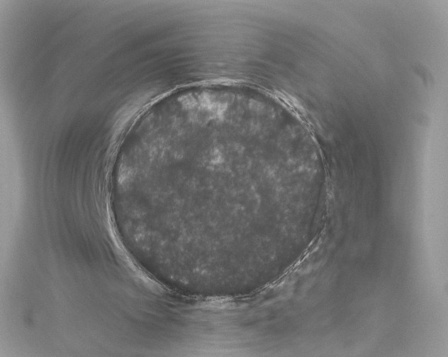 X0000114120097200911161147