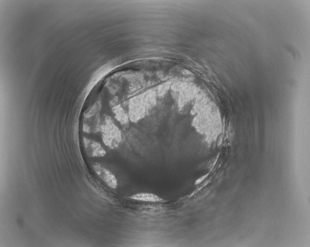 X0000114120099200911161147