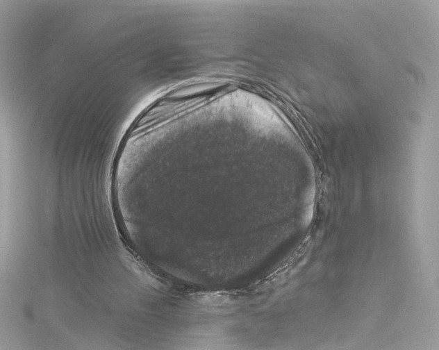 X0000114120100200911161147