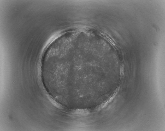 X0000114120101200911161147