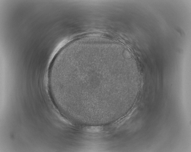 X0000114120102200911161147