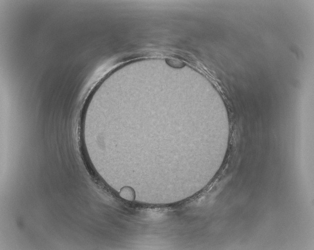 X0000114120103200911161147