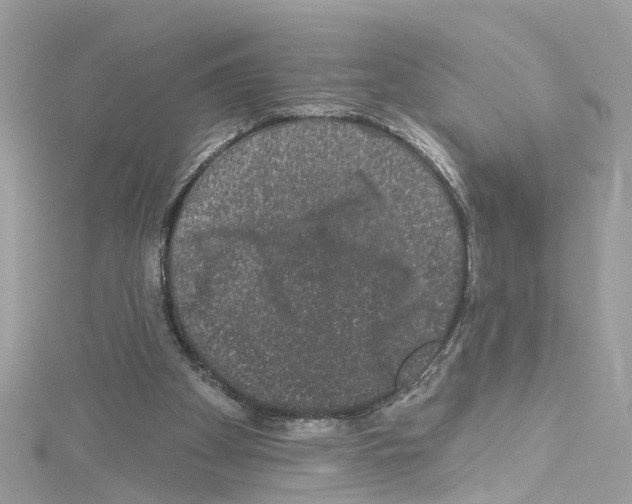 X0000114120105200911161147