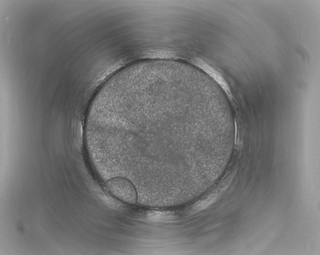 X0000114120109200911161147