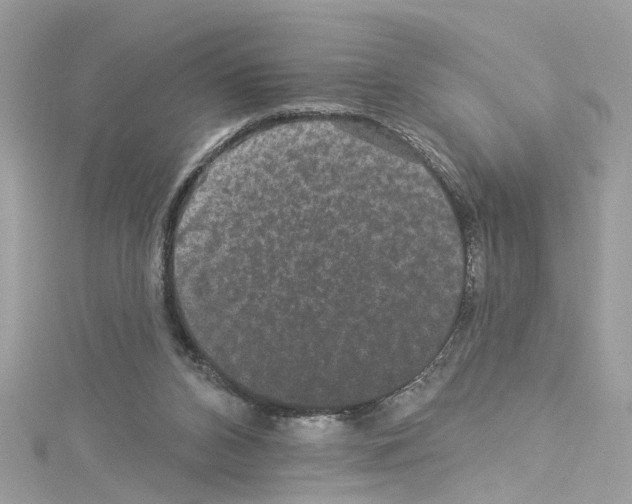 X0000114120112200911161147