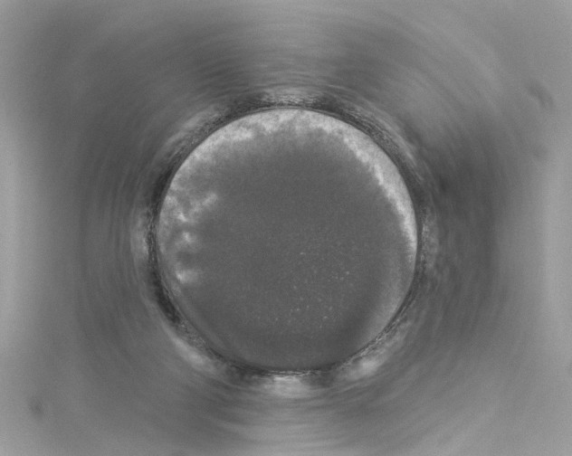 X0000114120114200911161147