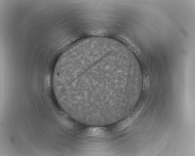 X0000114120117200911161147