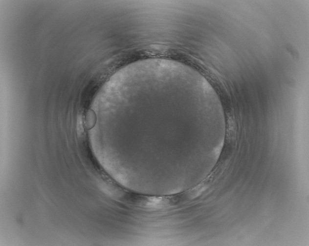 X0000114120130200911161147