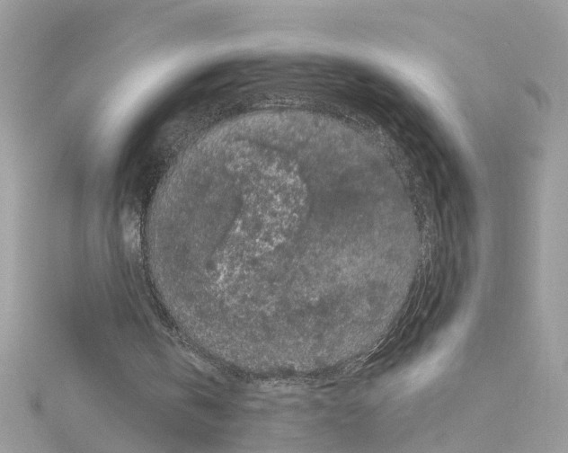 X0000114120146200911161146