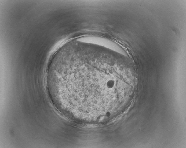 X0000114120149200911161146