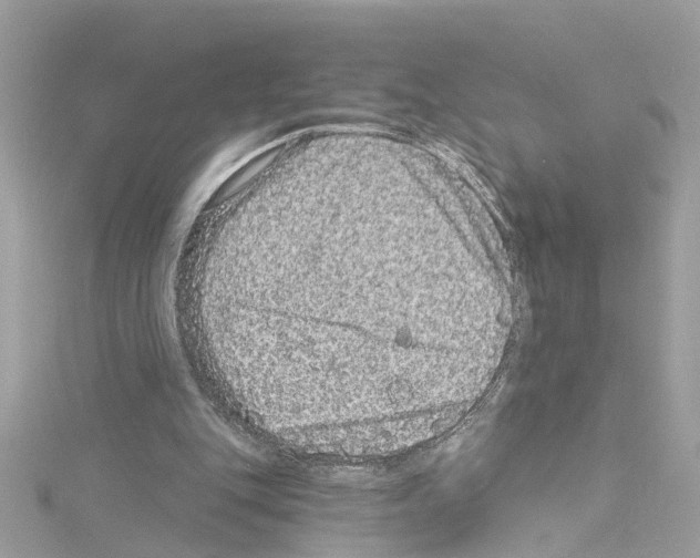 X0000114120151200911161146