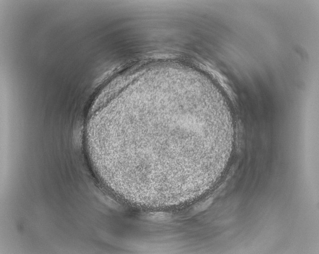 X0000114120153200911161146