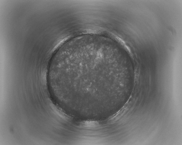 X0000114120154200911161146