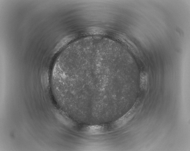 X0000114120158200911161146