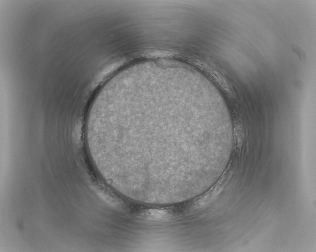 X0000114120159200911161146