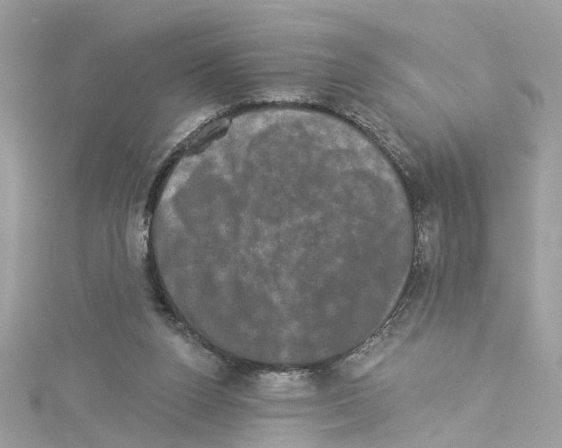 X0000114120160200911161146