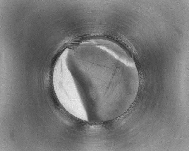 X0000114120163200911161146