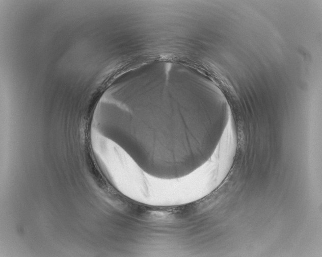 X0000114120167200911161146