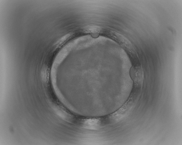 X0000114120168200911161146