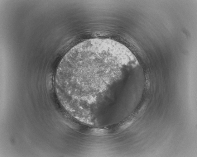 X0000114120169200911161146