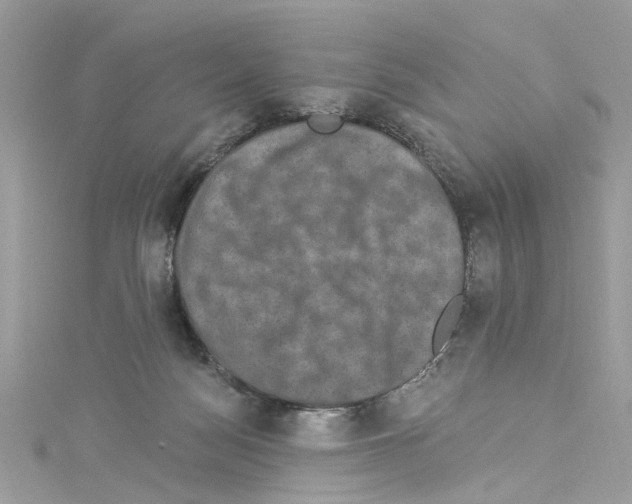 X0000114120172200911161146