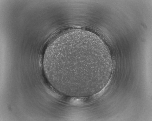 X0000114120174200911161146