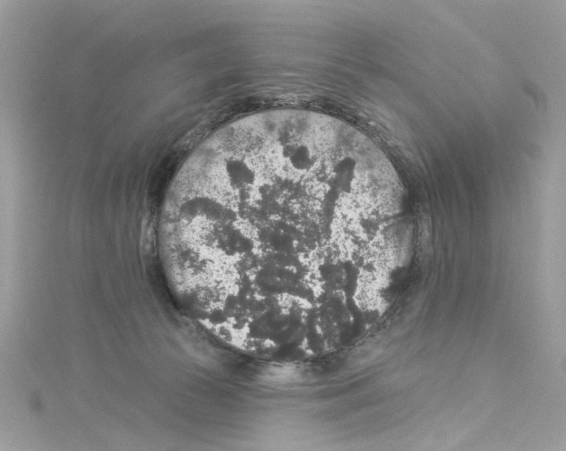 X0000114120177200911161146