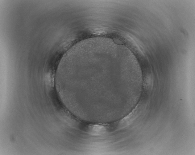 X0000114120180200911161146