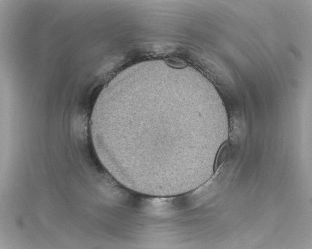 X0000114120184200911161147