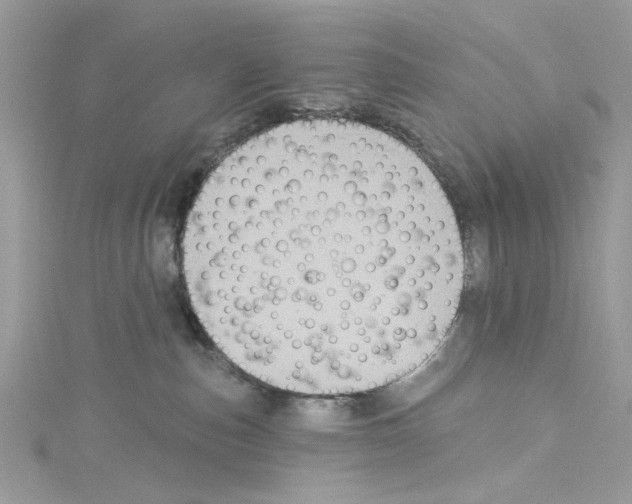 X0000114120187200911161147