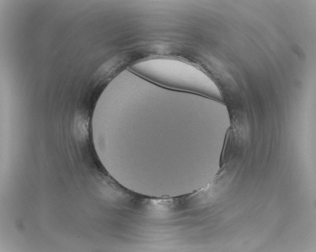 X0000114120188200911161147