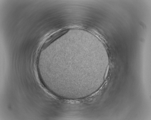 X0000114120193200911161146