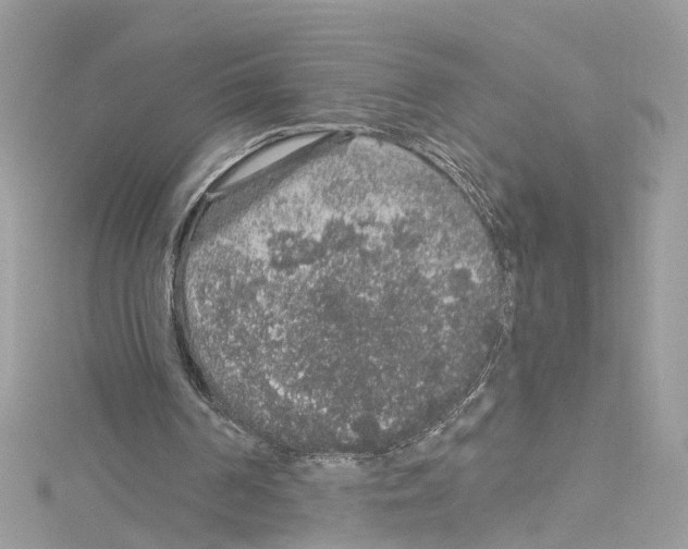 X0000114120194200911161146