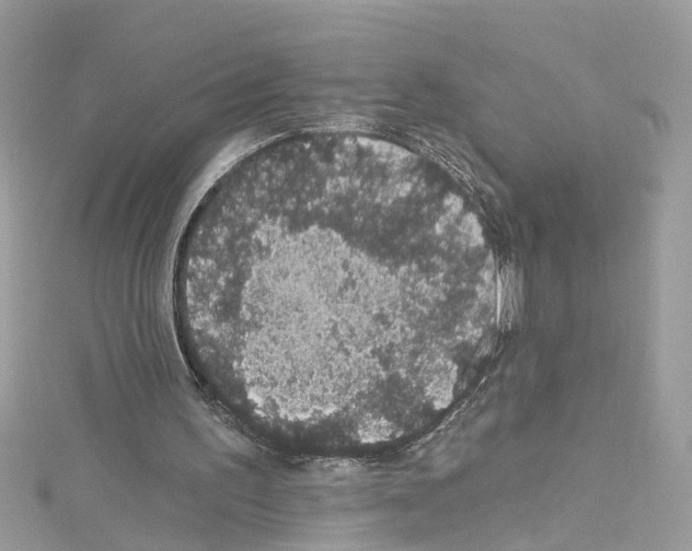 X0000114120195200911161146