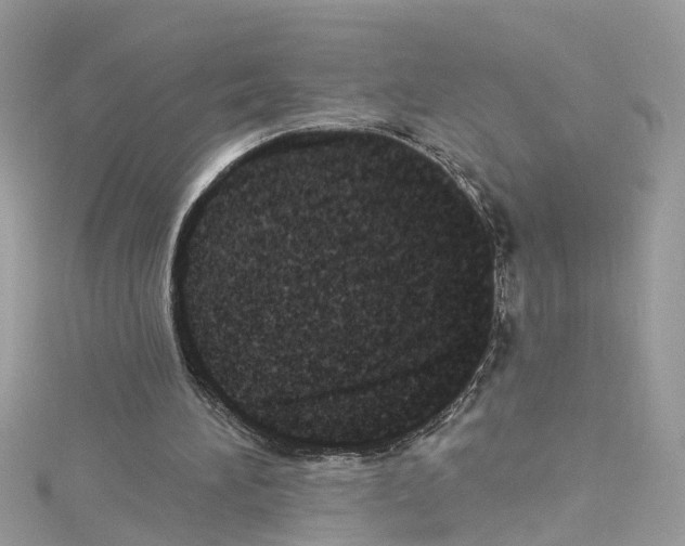 X0000114120196200911161146