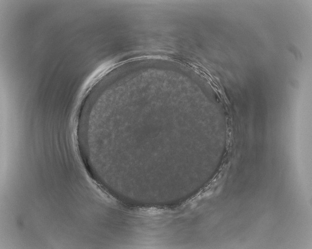 X0000114120197200911161146