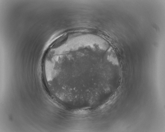 X0000114120198200911161146