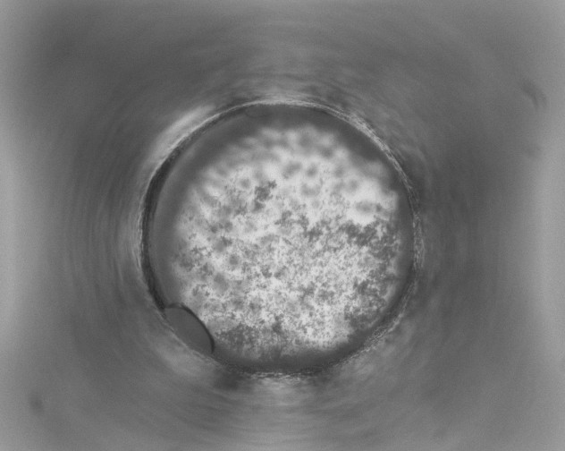 X0000114120199200911161146