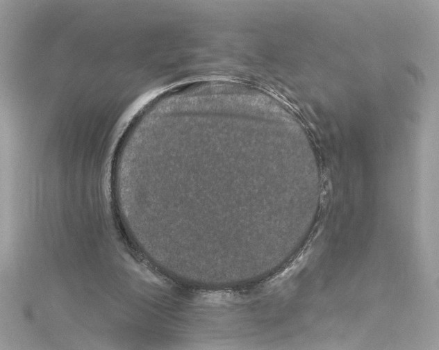 X0000114120200200911161146