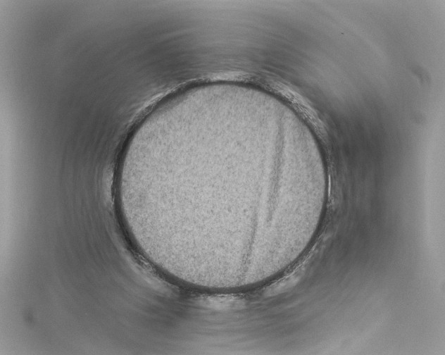 X0000114120201200911161146