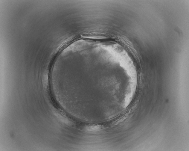 X0000114120202200911161146