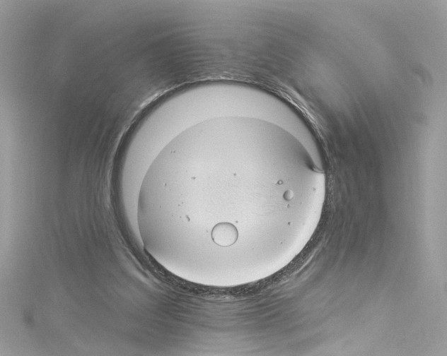 X0000114120203200911161146