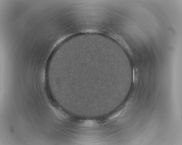 X0000114120204200911161146