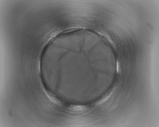 X0000114120205200911161146