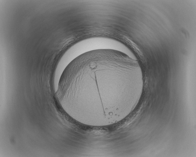 X0000114120209200911161146