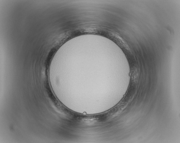 X0000114120213200911161145