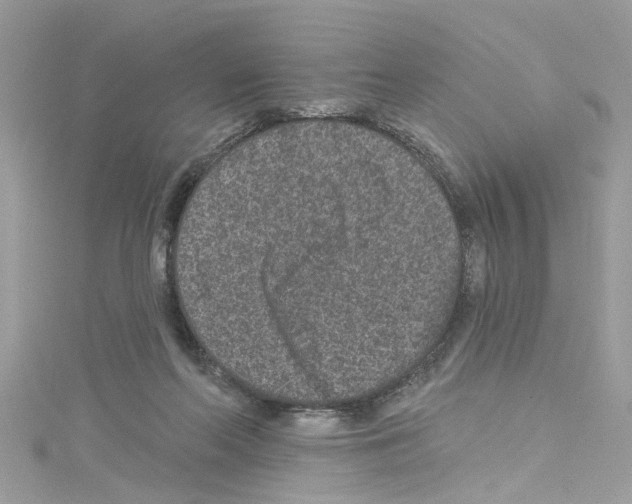 X0000114120214200911161145