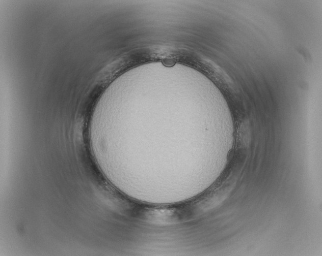 X0000114120217200911161145